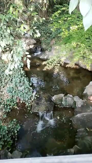 淘气兔救援