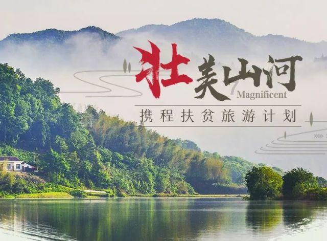 女性最好多吃这菜,有利于下半身消水肿,尤其是长坐办公室的女性