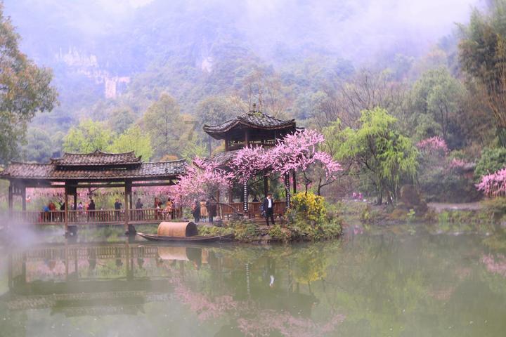 送爸爸什么礼物好游戏画面